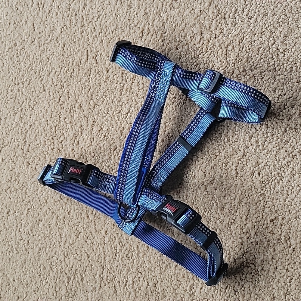 Halti walking dog harness reflective blue Med used once to test size like new